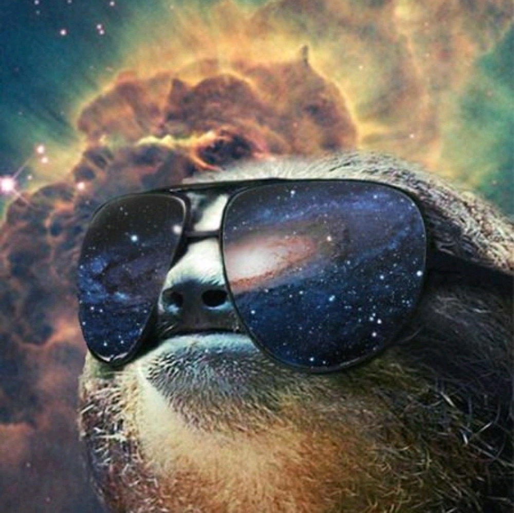 Meet your Posher, Seth